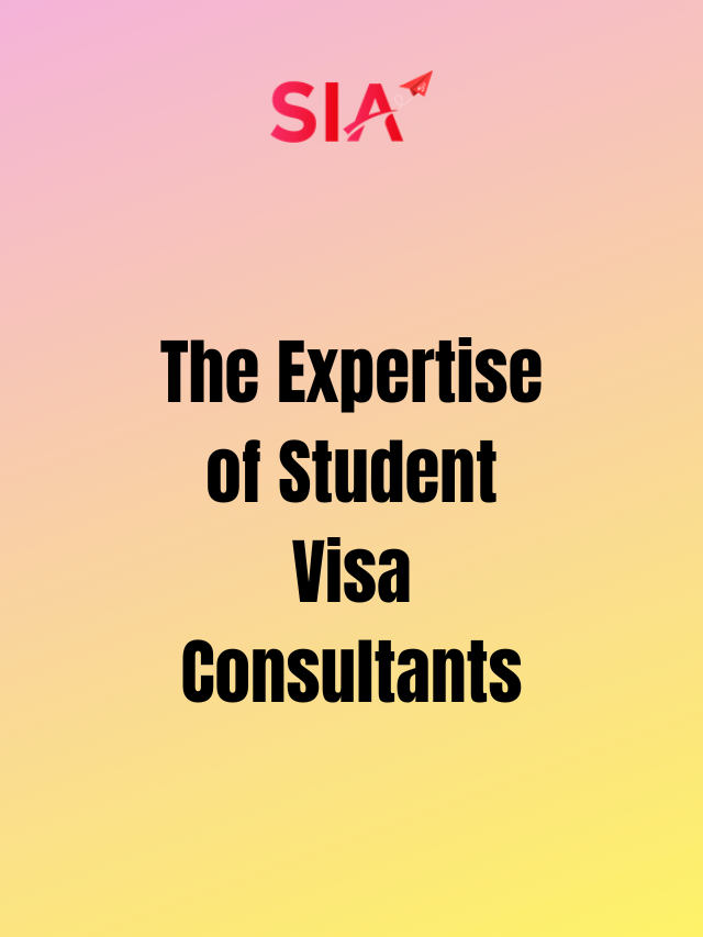 The Expertise of Student Visa Consultants